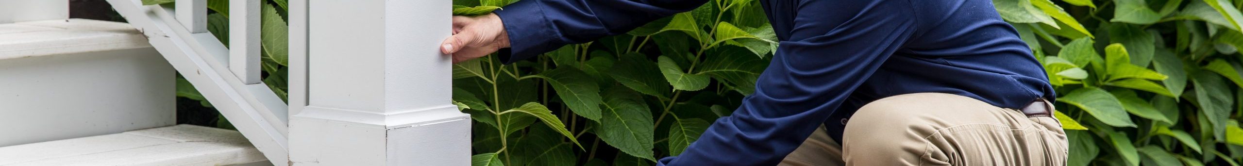 How much will these fixes cost? Find out with PTPEstimates